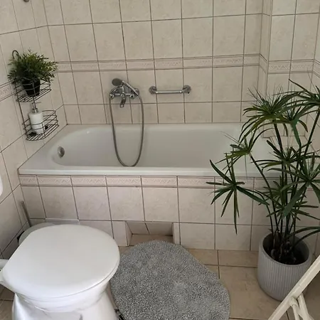 Pelini - 2 * Szentendre