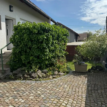 Pelini - 2 Szentendre