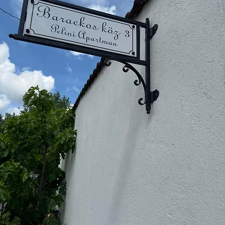 Aparthotel Pelini - 2 Szentendre